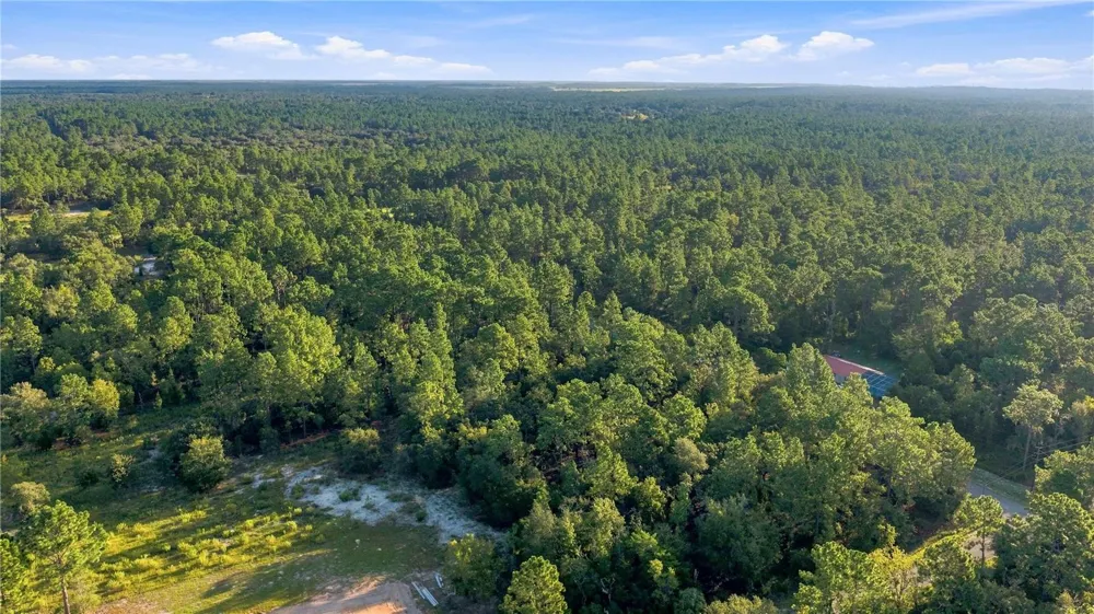 00 SE 133 AVENUE Dunnellon, FL 34431