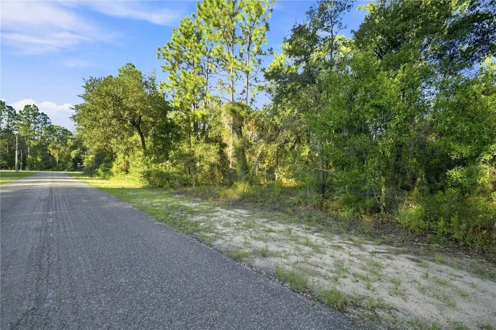 00 SE 133 AVENUE Dunnellon, FL 34431