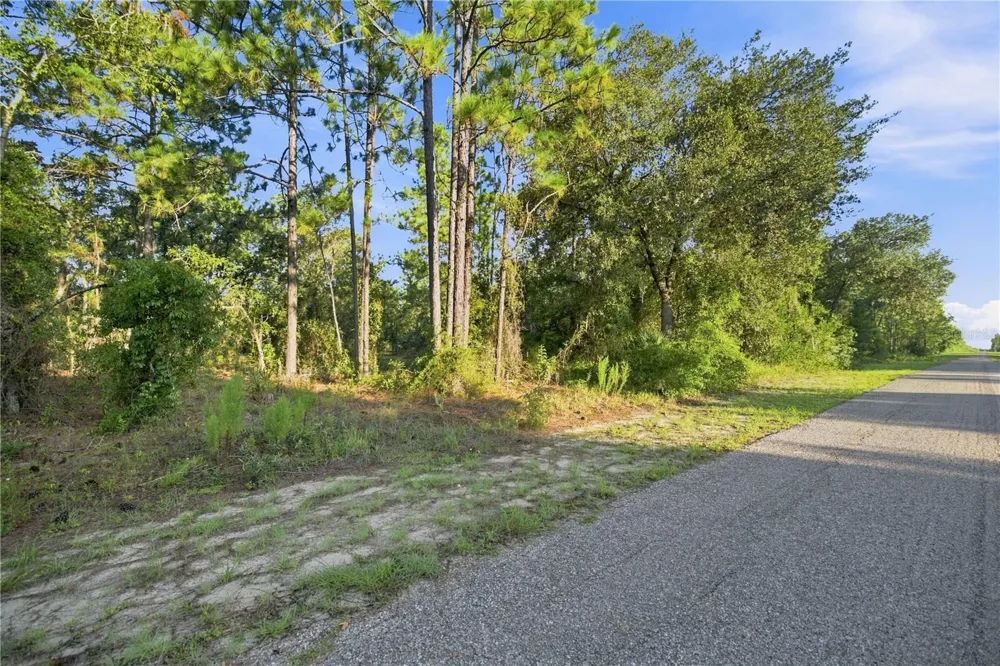 00 SE 133 AVENUE Dunnellon, FL 34431
