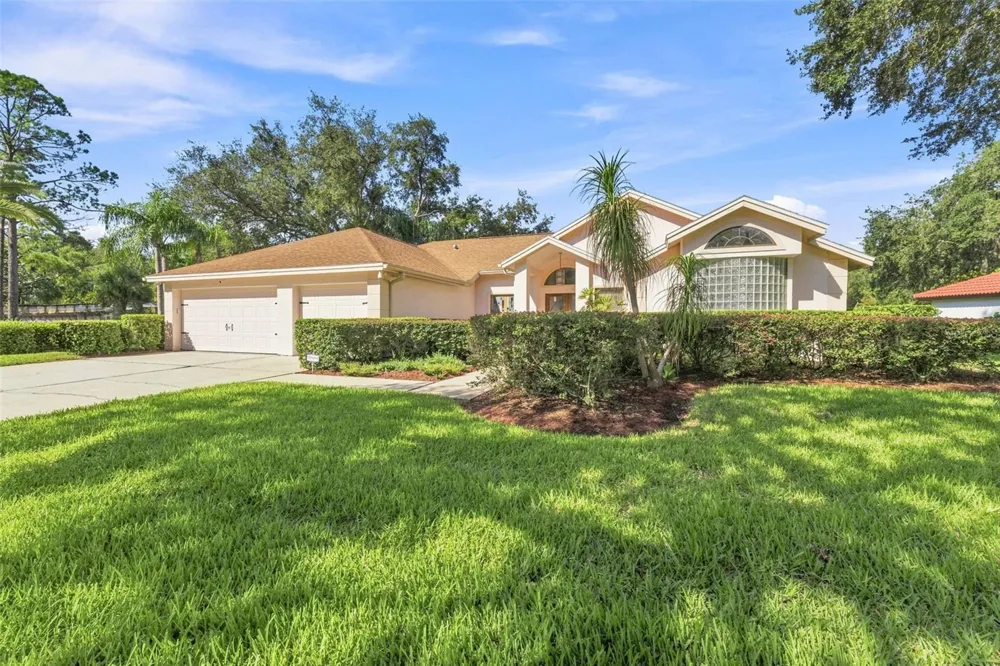 15923 ELLSWORTH DRIVE Tampa, FL 33647