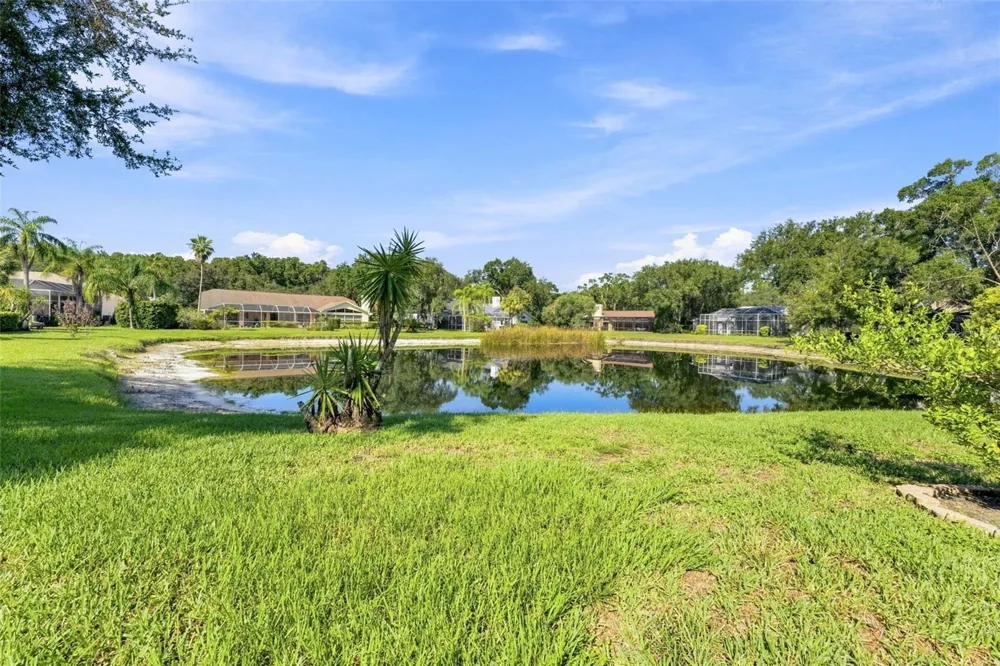 15923 ELLSWORTH DRIVE Tampa, FL 33647