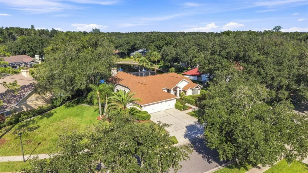 15923 ELLSWORTH DRIVE Tampa, FL 33647