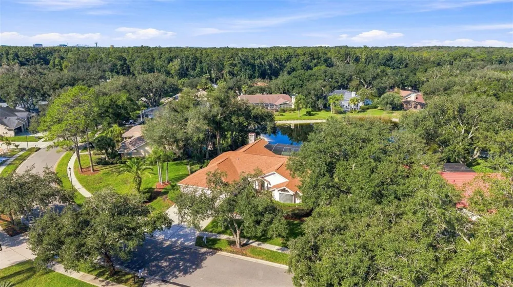 15923 ELLSWORTH DRIVE Tampa, FL 33647