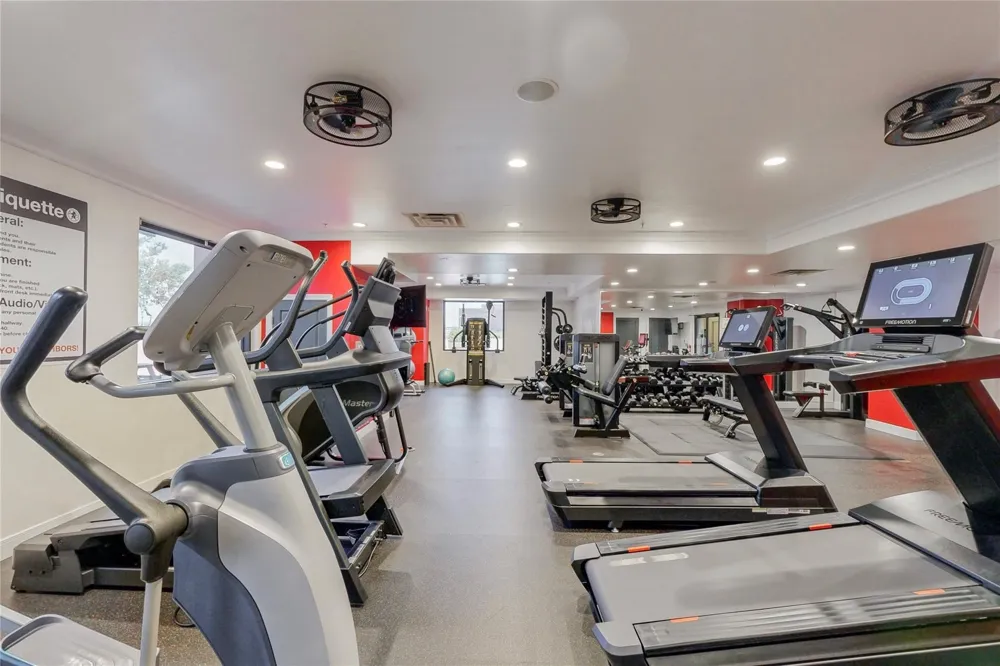 330 Las Colinas Boulevard E #232 Irving, TX 75039