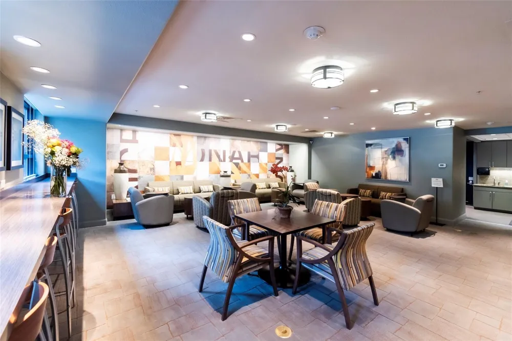 330 Las Colinas Boulevard E #232 Irving, TX 75039
