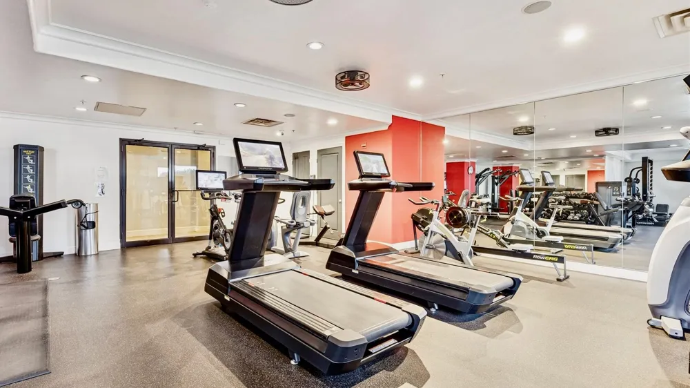 330 Las Colinas Boulevard E #232 Irving, TX 75039