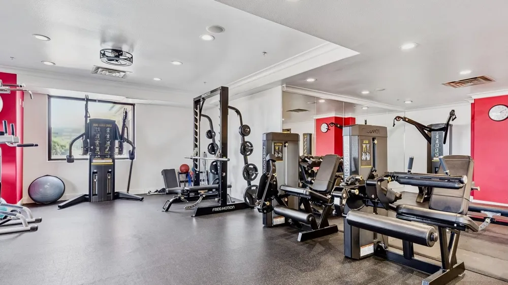 330 Las Colinas Boulevard E #232 Irving, TX 75039
