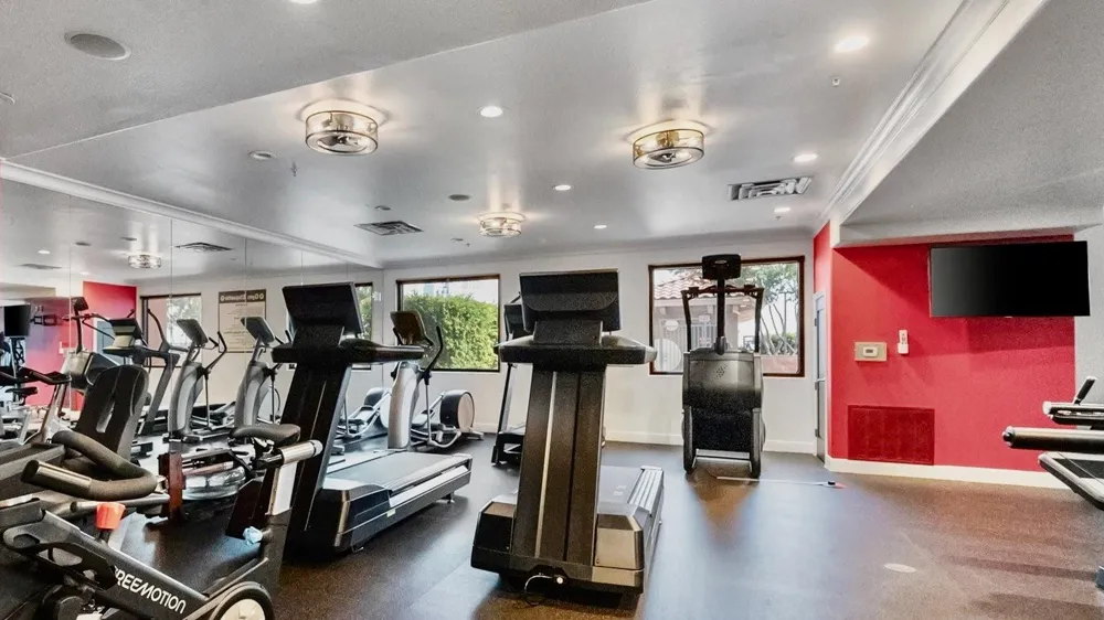 330 Las Colinas Boulevard E #232 Irving, TX 75039