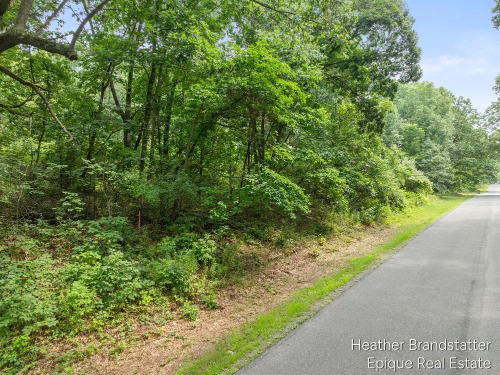 13271 Beckwith Drive NE Lowell, MI 49331