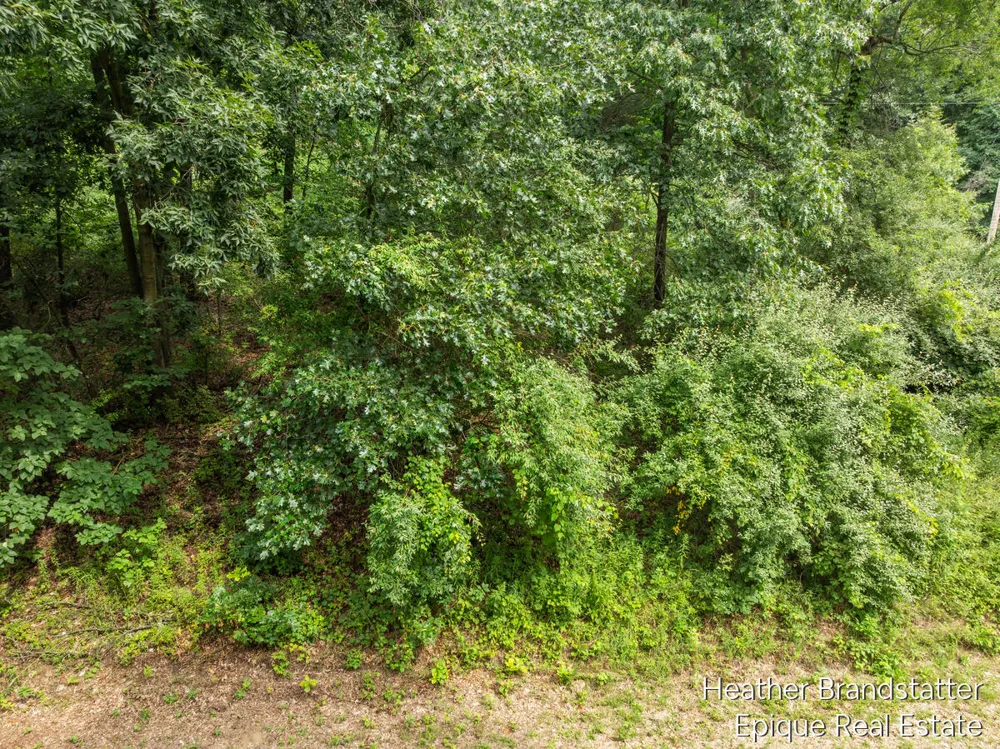 13271 Beckwith Drive NE Lowell, MI 49331