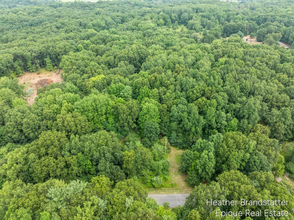 13271 Beckwith Drive NE Lowell, MI 49331