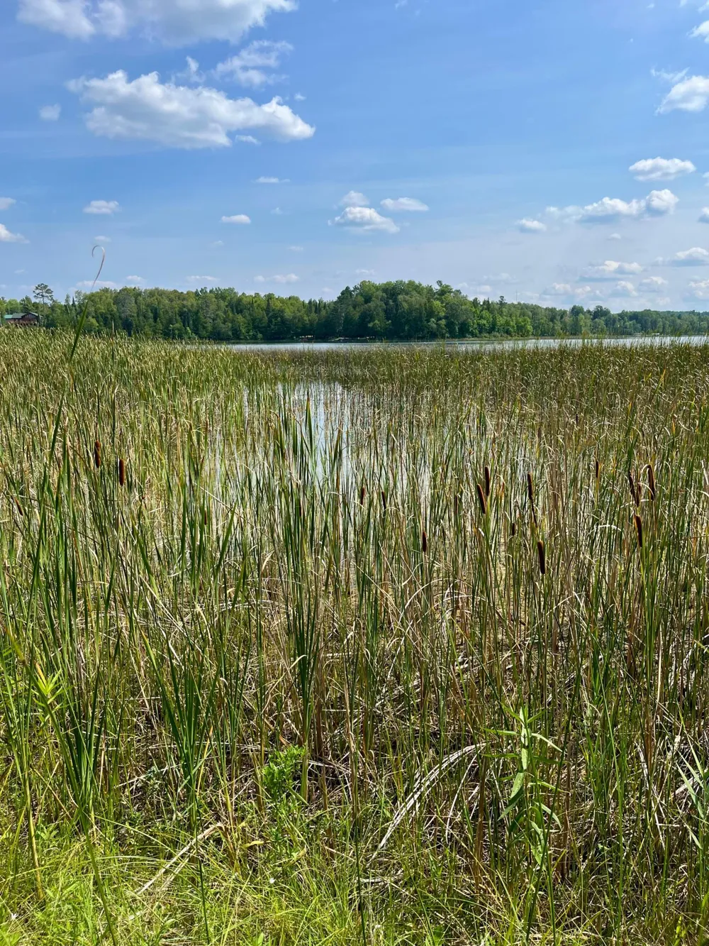 33546 Reilly Lake Road Bovey, MN 55709