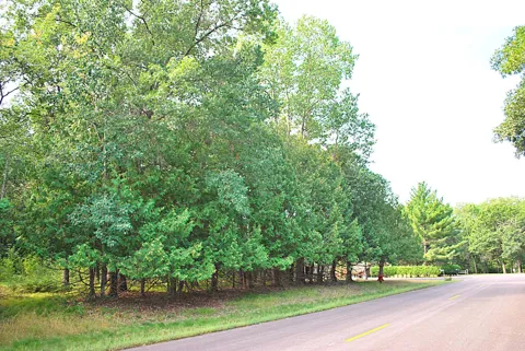 TBD Marohn Road