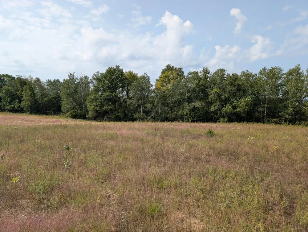 13441 217 AVENUE NW Elk River, MN 55330