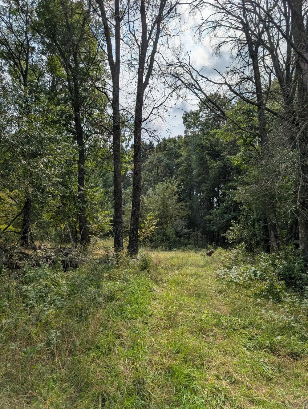 21553 Joplin Street NW Elk River, MN 55330