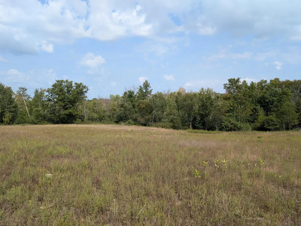 13469 217 AVENUE NW Elk River, MN 55330
