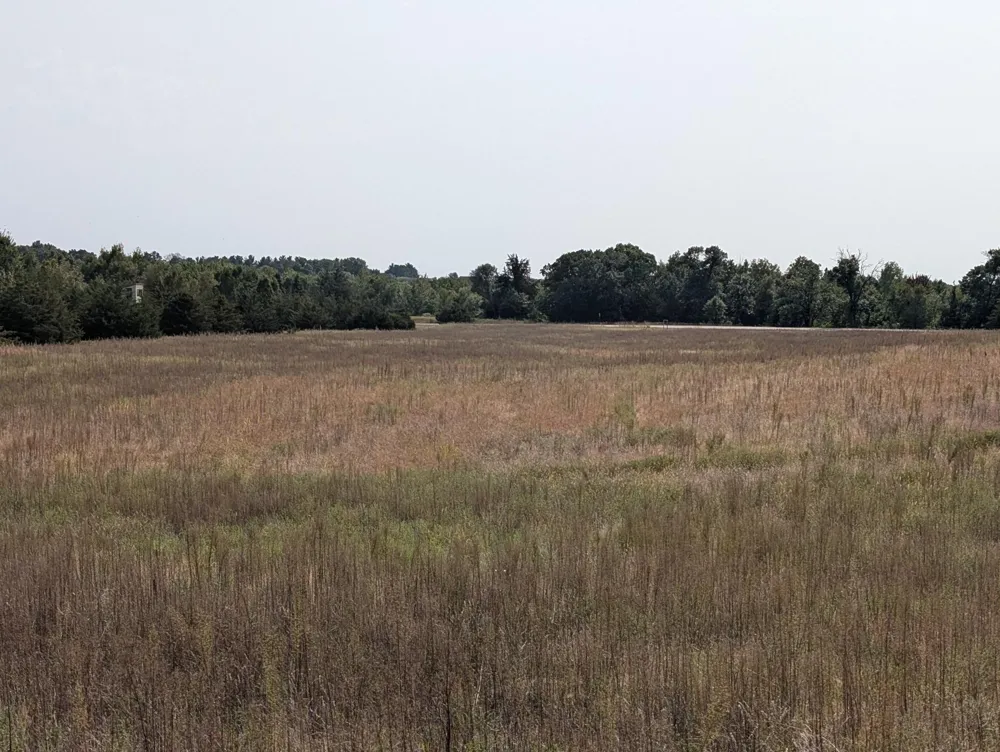 21567 Joplin Street NW Elk River, MN 55330