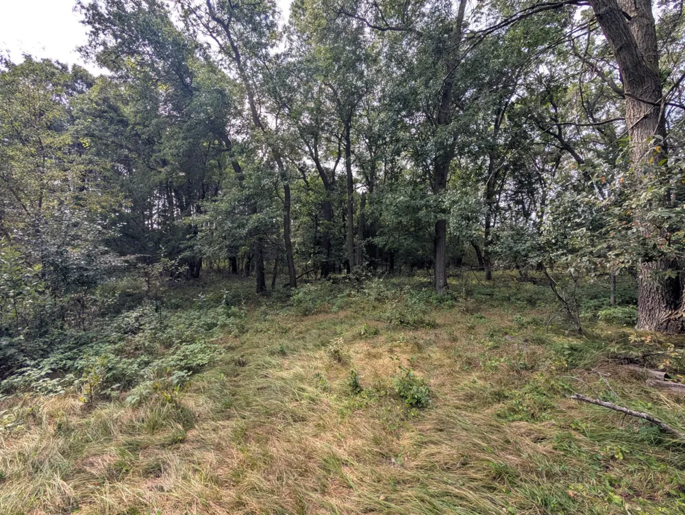 21537 Joplin Street NW Elk River, MN 55330