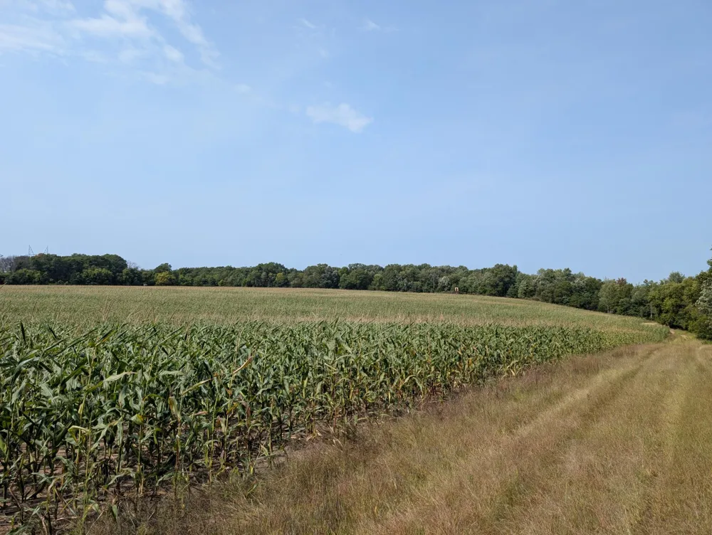 21515 Joplin Street NW Elk River, MN 55330