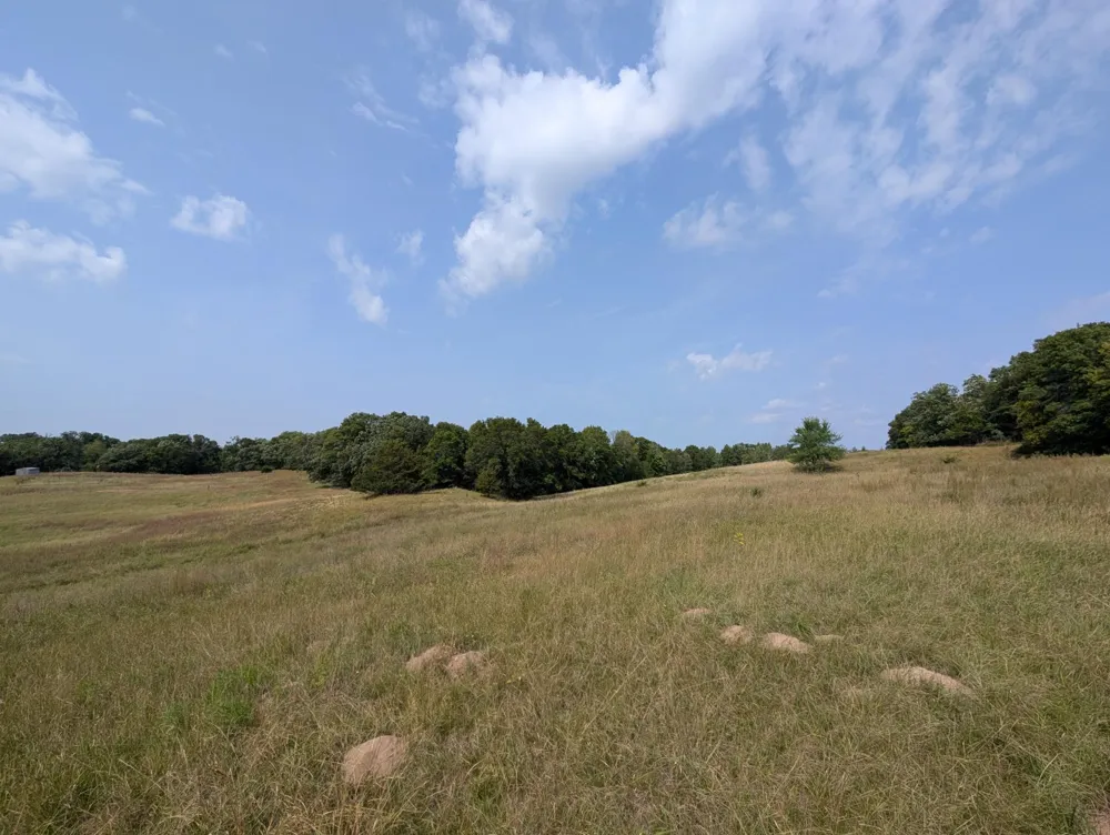 21588 Joplin Street NW Elk River, MN 55330