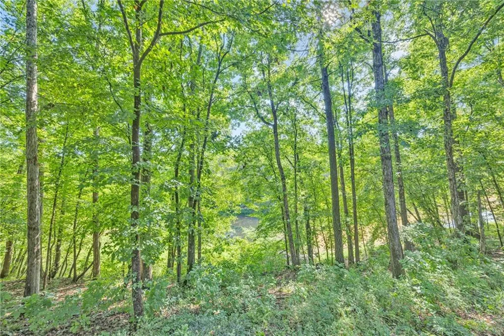 1770 River Bluff Road Monroe, GA 30656
