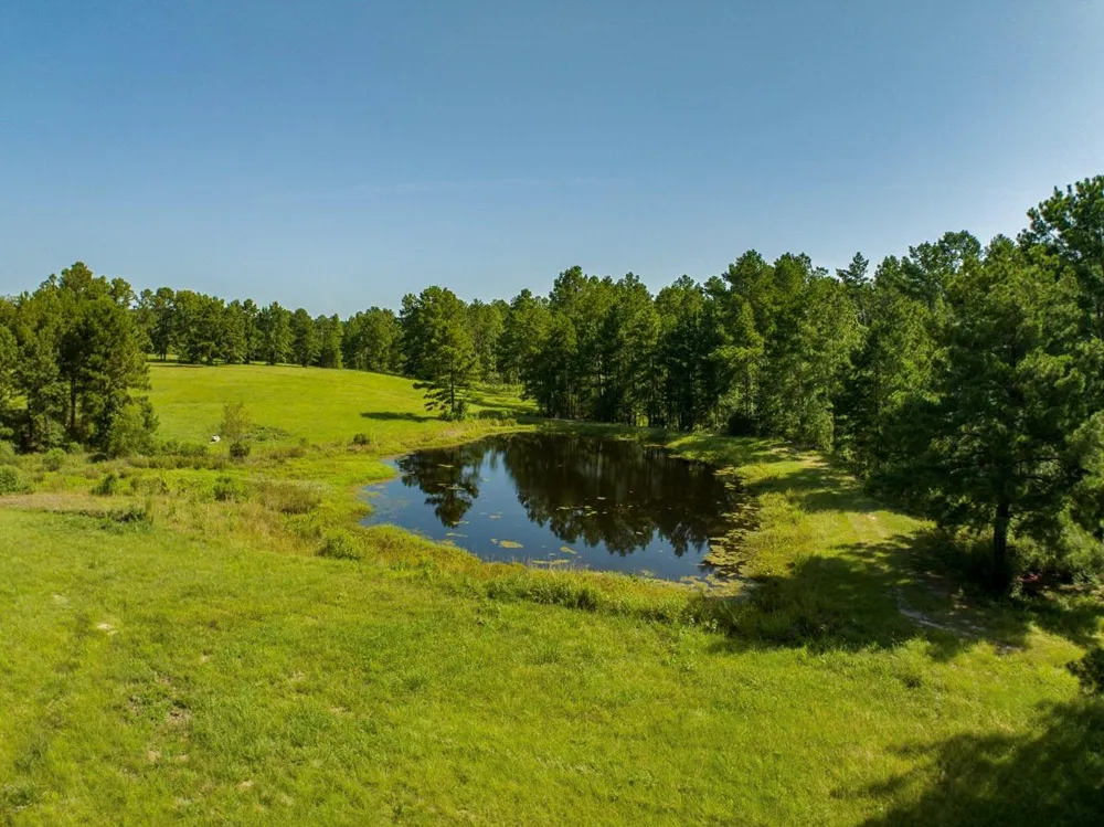 224 James King Road Zavalla, TX 75980