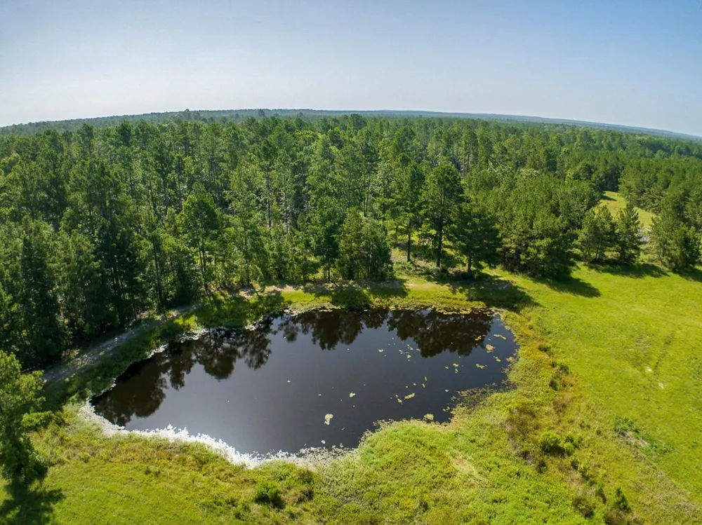 224 James King Road Zavalla, TX 75980