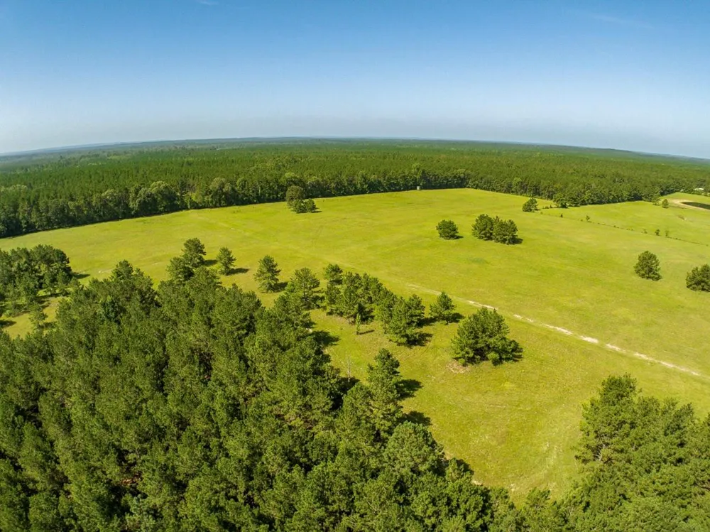 224 James King Road Zavalla, TX 75980