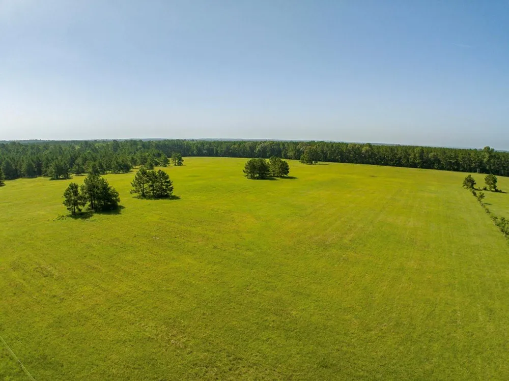 224 James King Road Zavalla, TX 75980