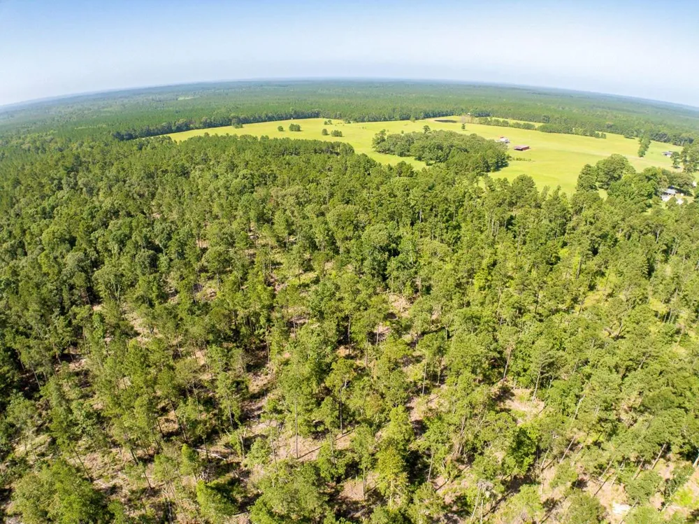224 James King Road Zavalla, TX 75980