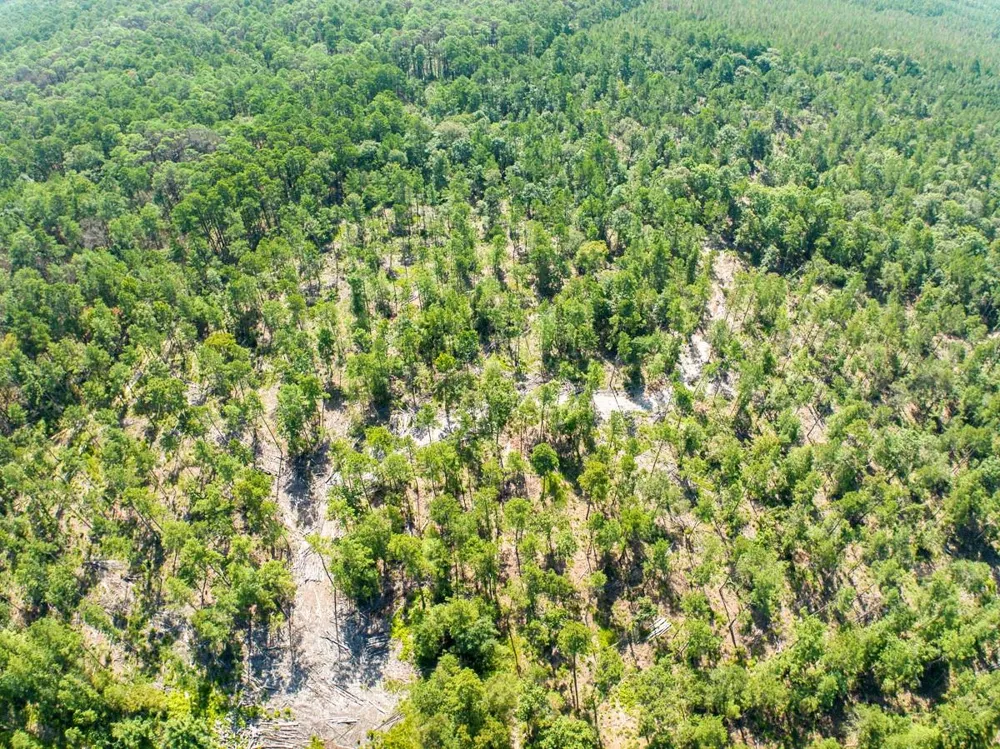 224 James King Road Zavalla, TX 75980