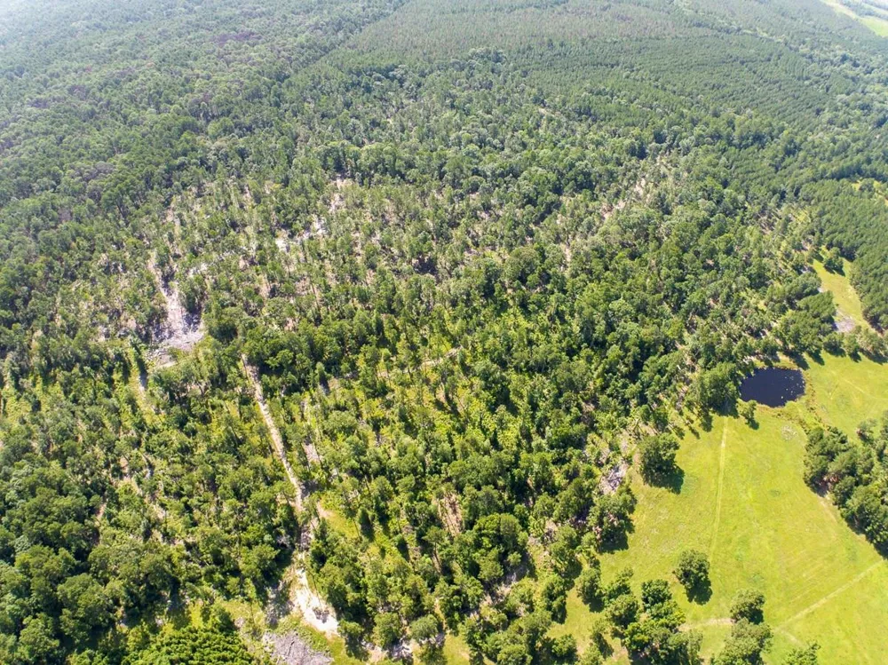 224 James King Road Zavalla, TX 75980