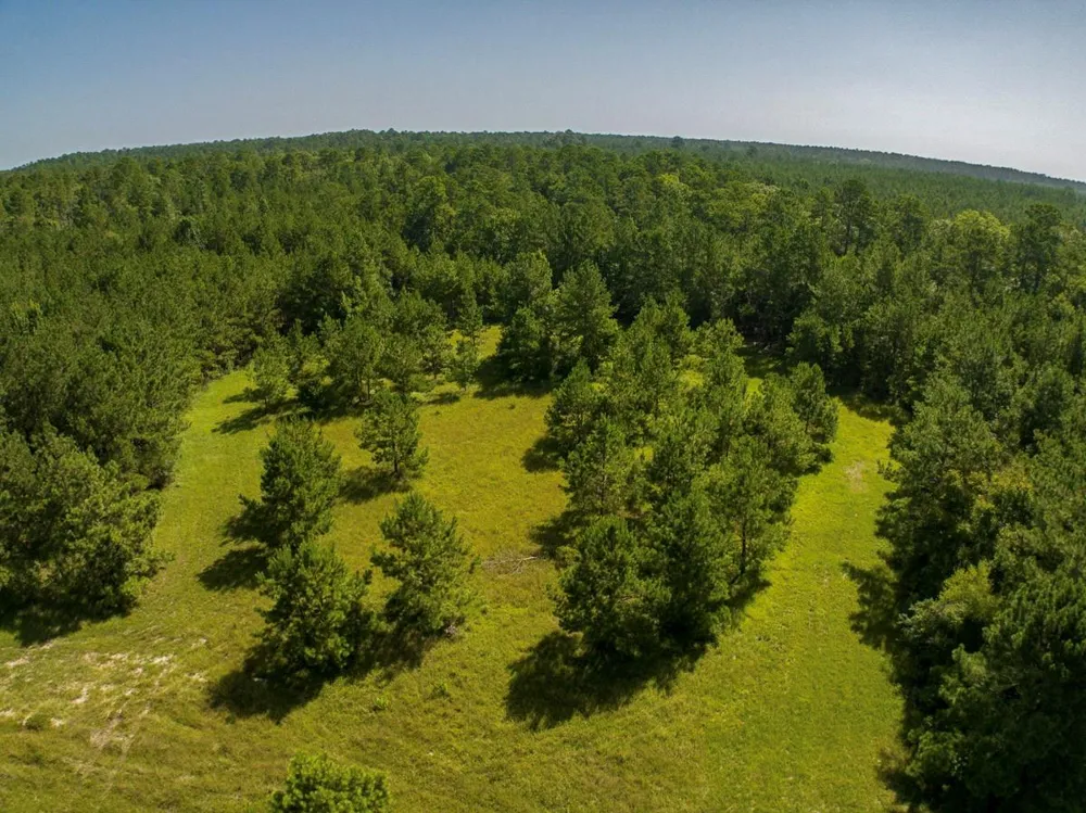 224 James King Road Zavalla, TX 75980