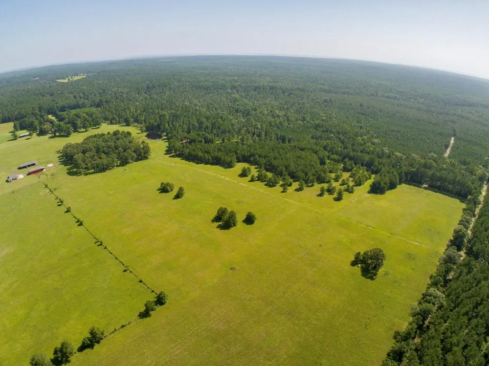 224 James King Road Zavalla, TX 75980