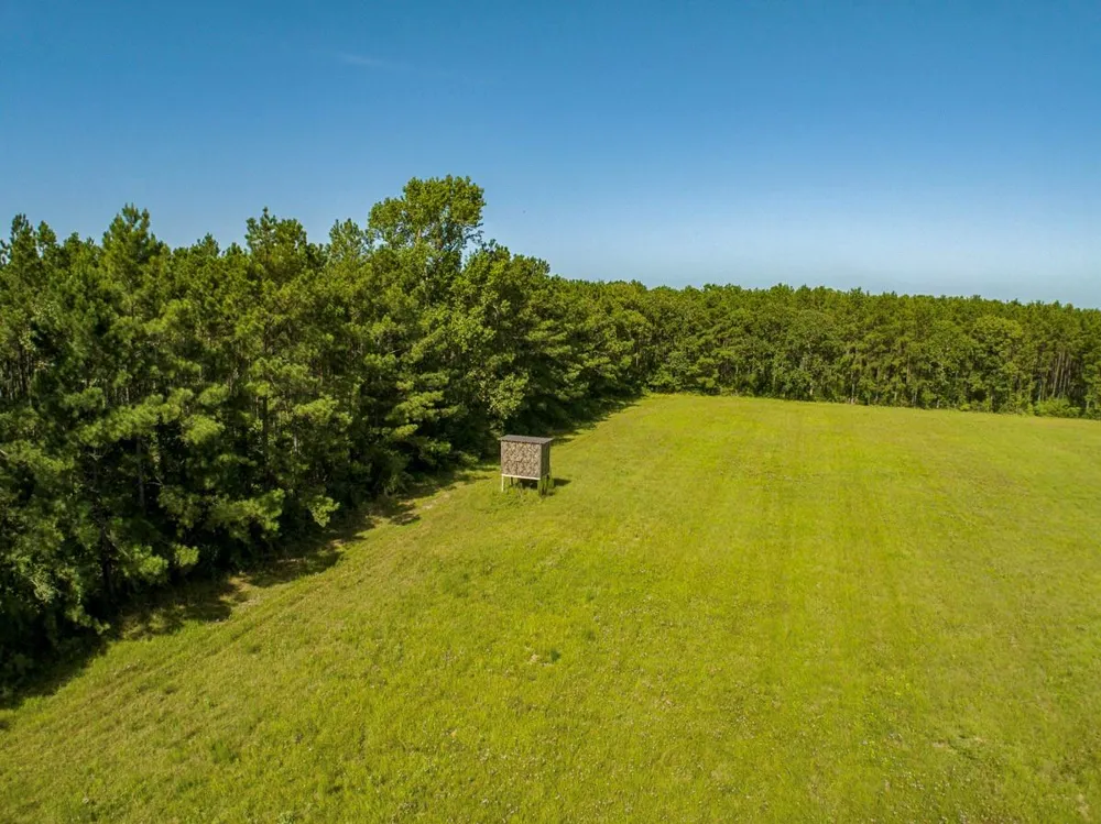 224 James King Road Zavalla, TX 75980