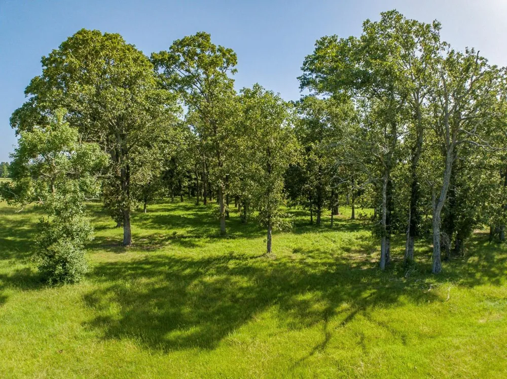 224 James King Road Zavalla, TX 75980