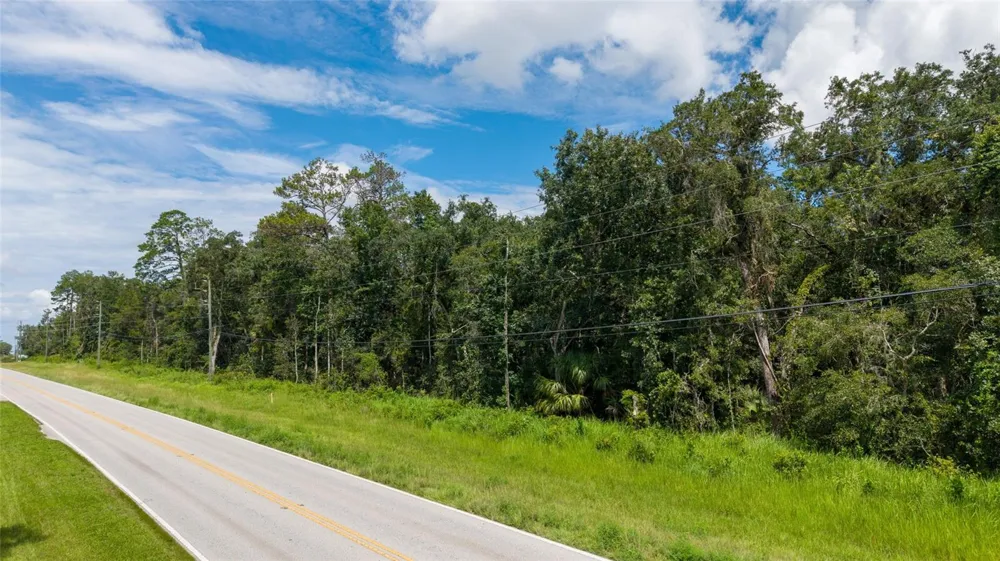 10.30 Acres WISCON ROAD Brooksville, FL 34601