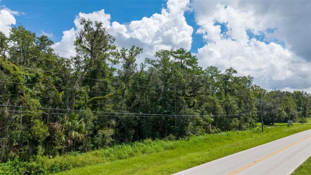10.30 Acres WISCON ROAD Brooksville, FL 34601
