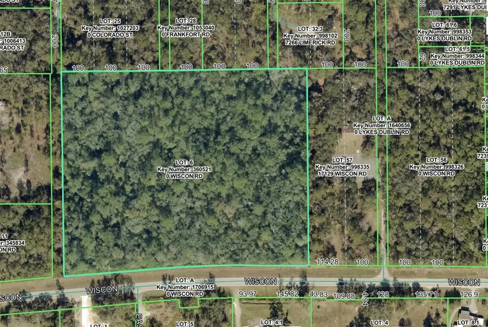 10.30 Acres WISCON ROAD Brooksville, FL 34601