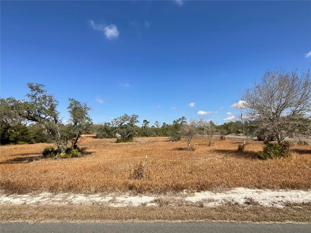 490 HOBBS DRIVE Venus, FL 33960