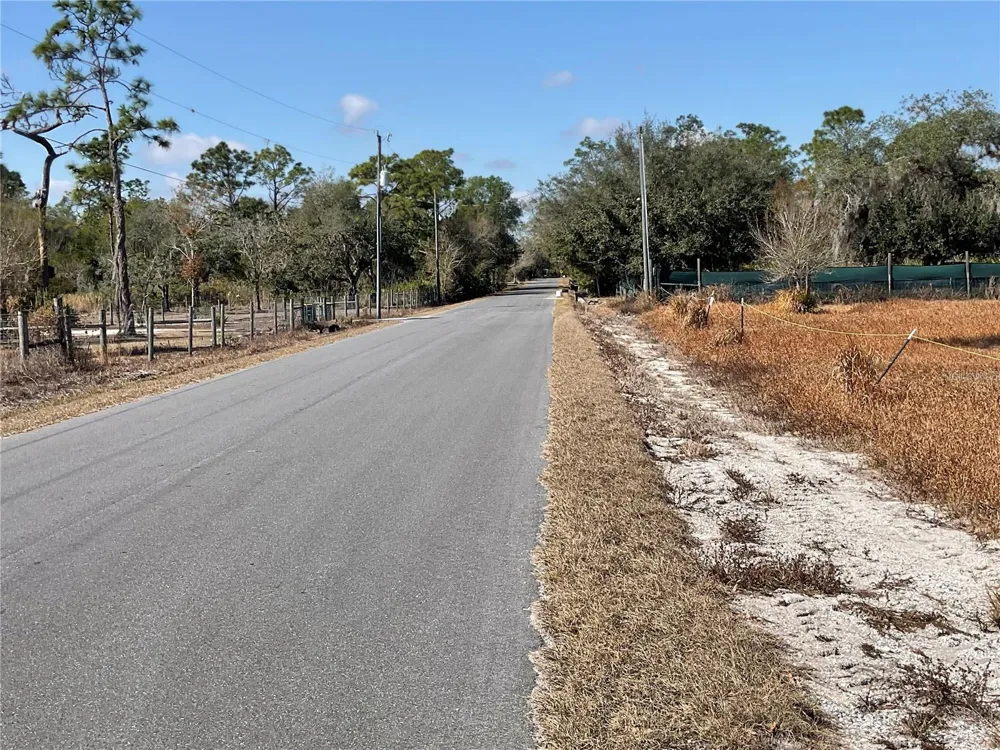 490 HOBBS DRIVE Venus, FL 33960