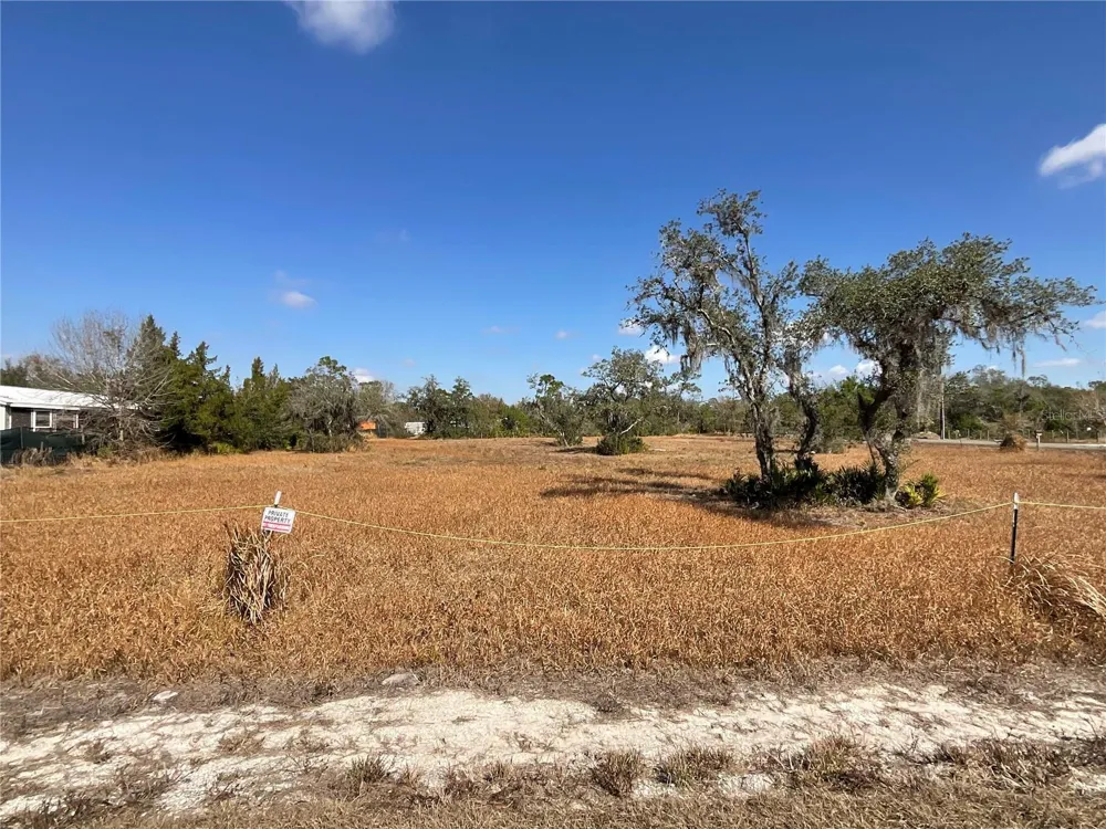 490 HOBBS DRIVE Venus, FL 33960