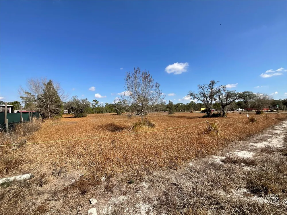 490 HOBBS DRIVE Venus, FL 33960