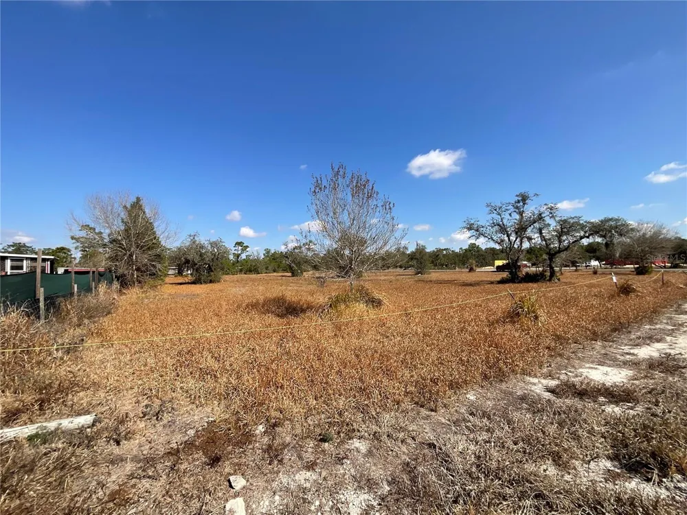 490 HOBBS DRIVE Venus, FL 33960