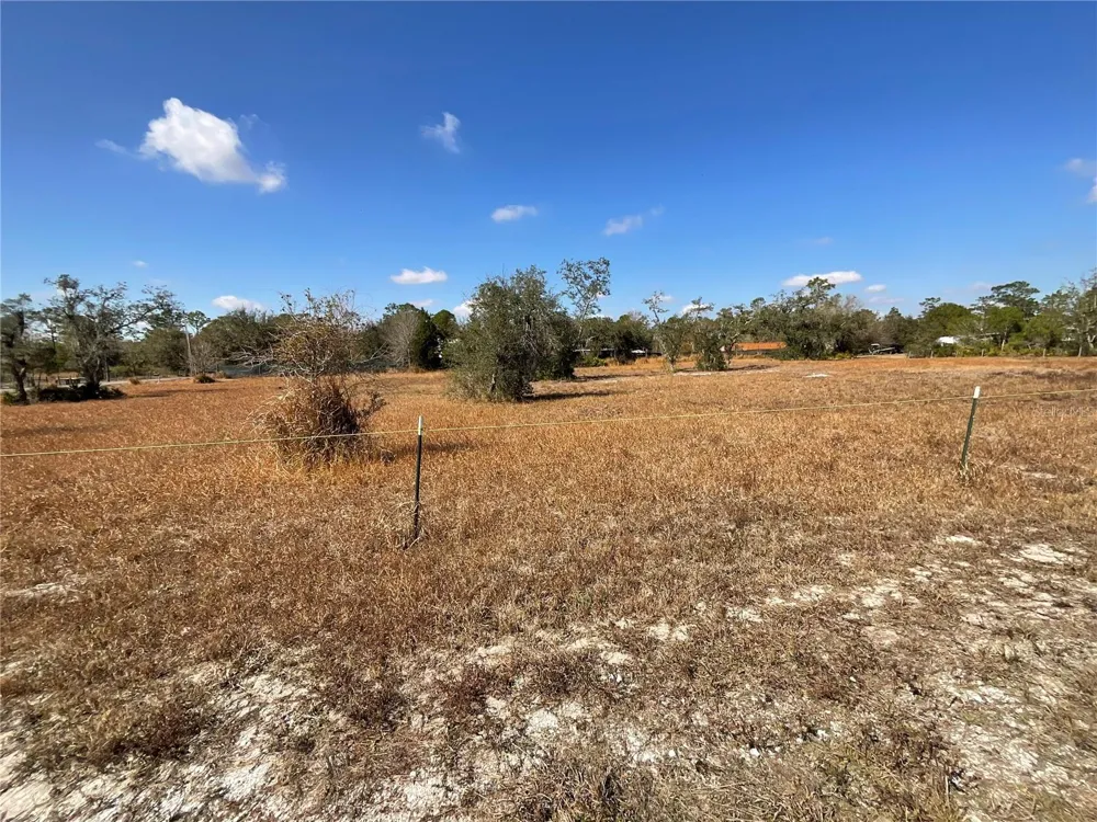490 HOBBS DRIVE Venus, FL 33960
