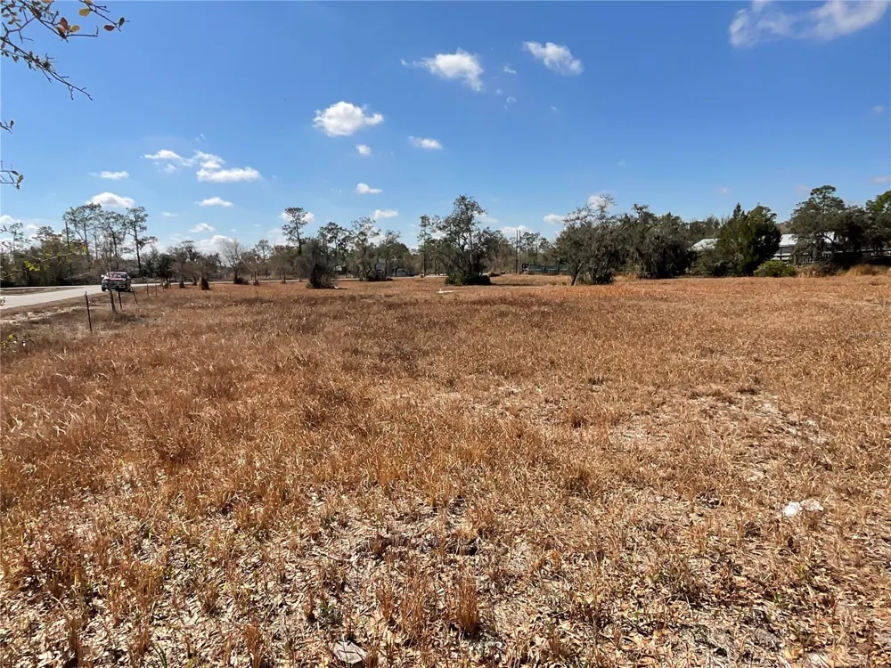 490 HOBBS DRIVE Venus, FL 33960