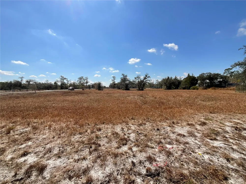 490 HOBBS DRIVE Venus, FL 33960