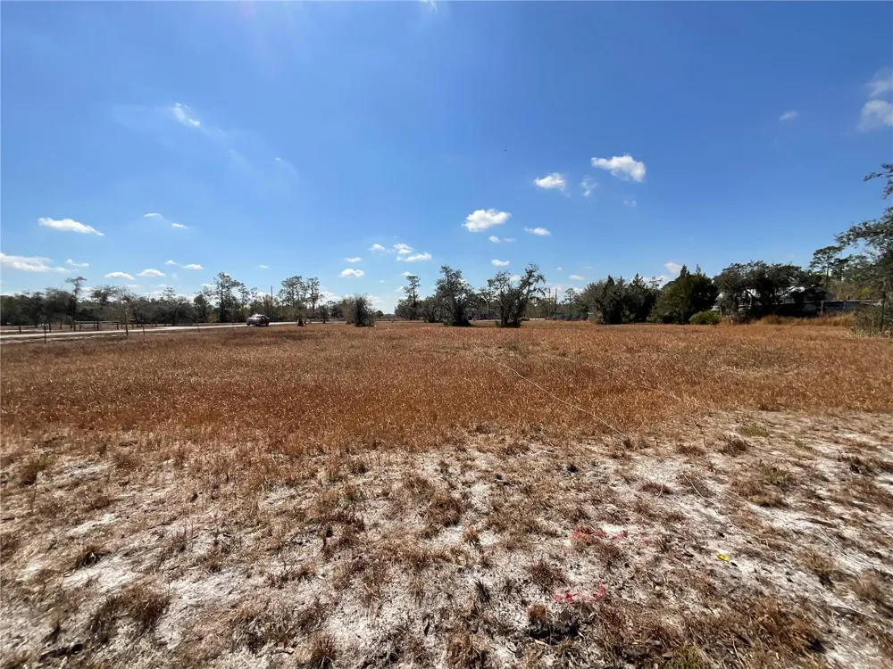 490 HOBBS DRIVE Venus, FL 33960