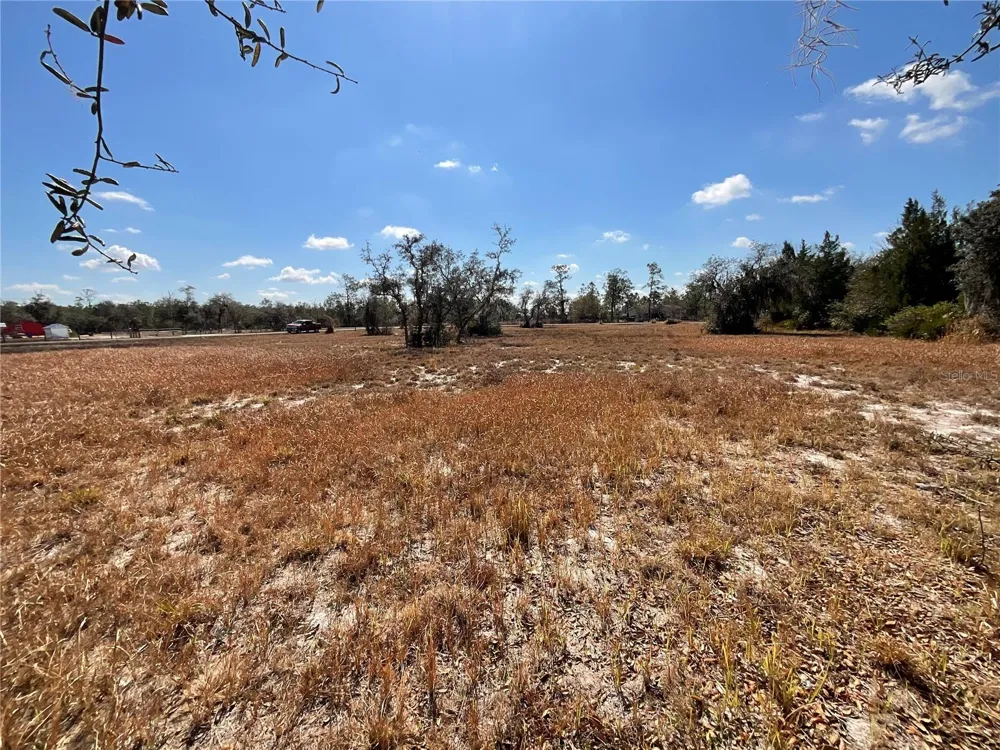 490 HOBBS DRIVE Venus, FL 33960
