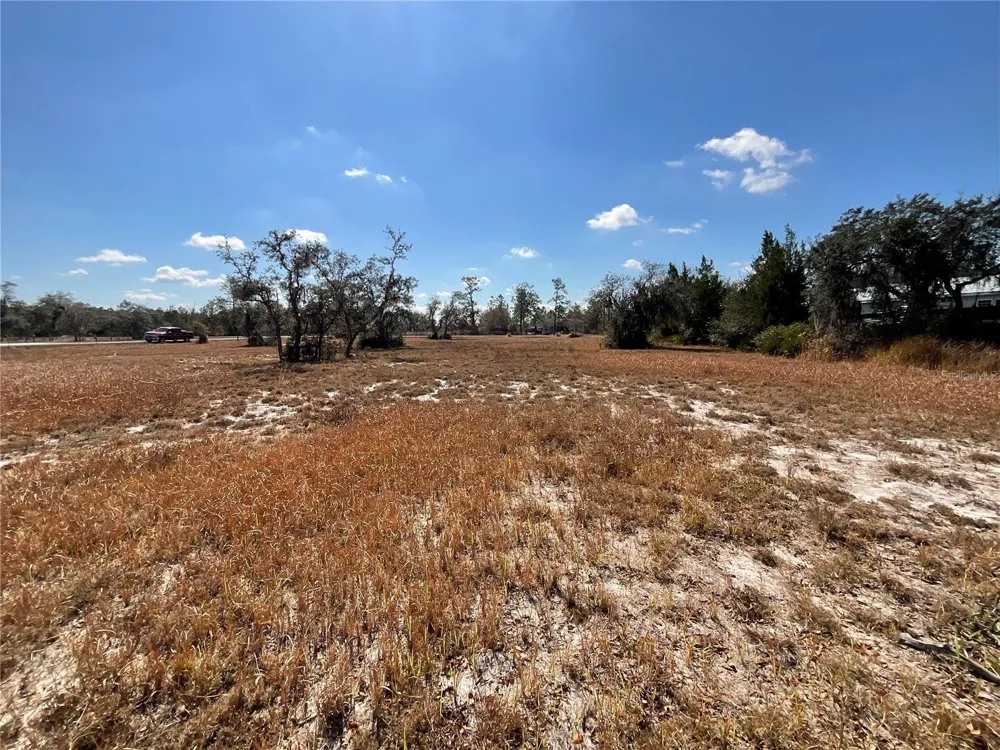 490 HOBBS DRIVE Venus, FL 33960